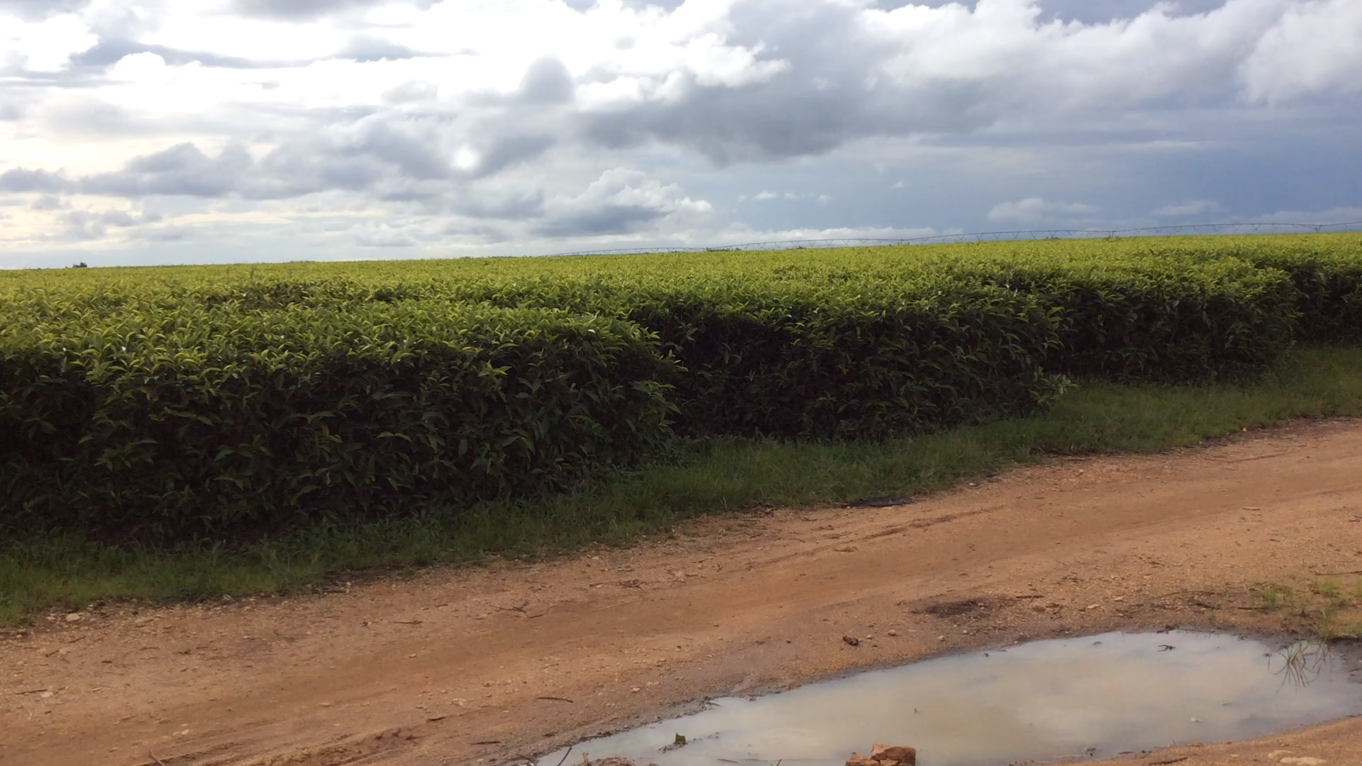 Local economic participation