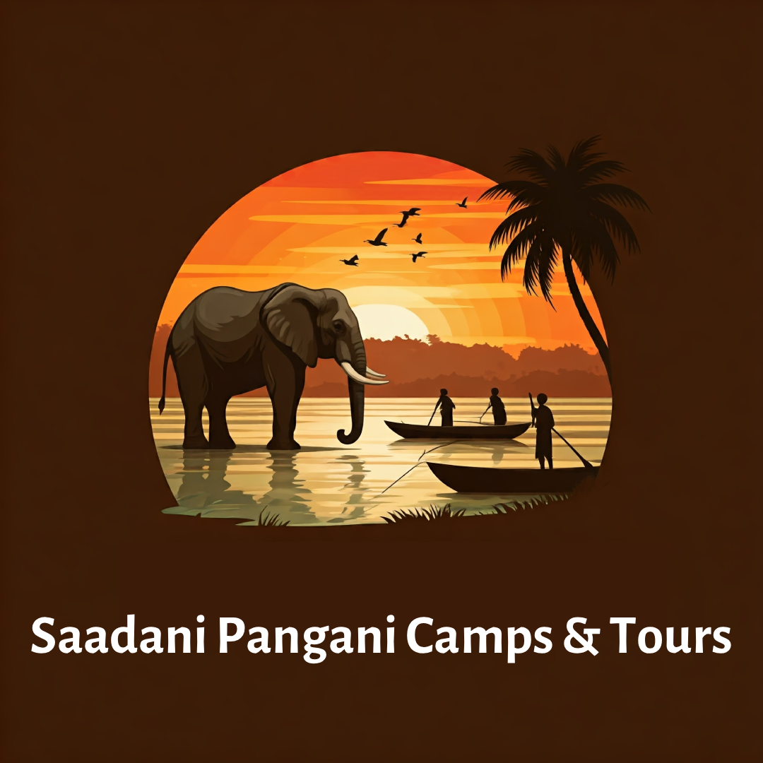 Saadani Pangani Camps & Tours